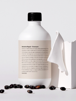 CHAHONG Intensive Repair Shampoo 500ml - LUUELA