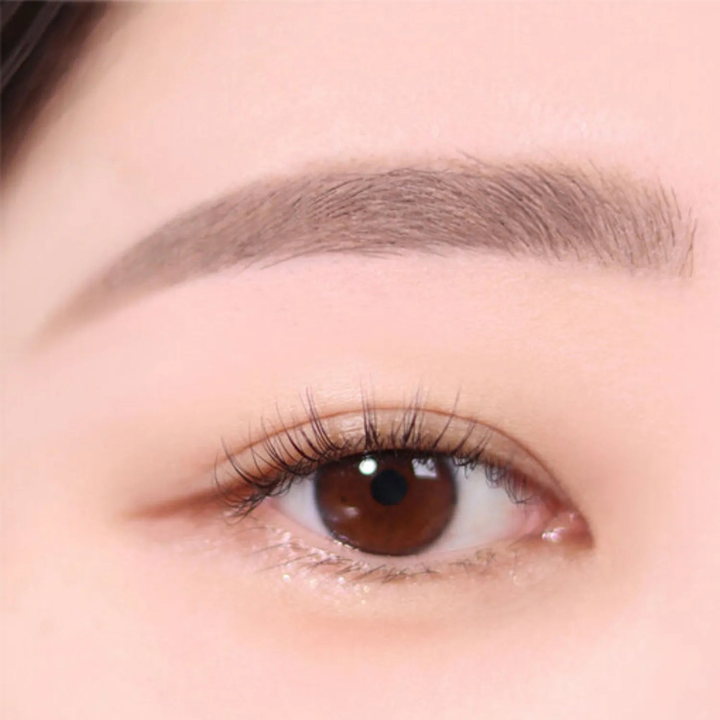 espoir The Brow Color Fixing Cara 3g - LUUELA