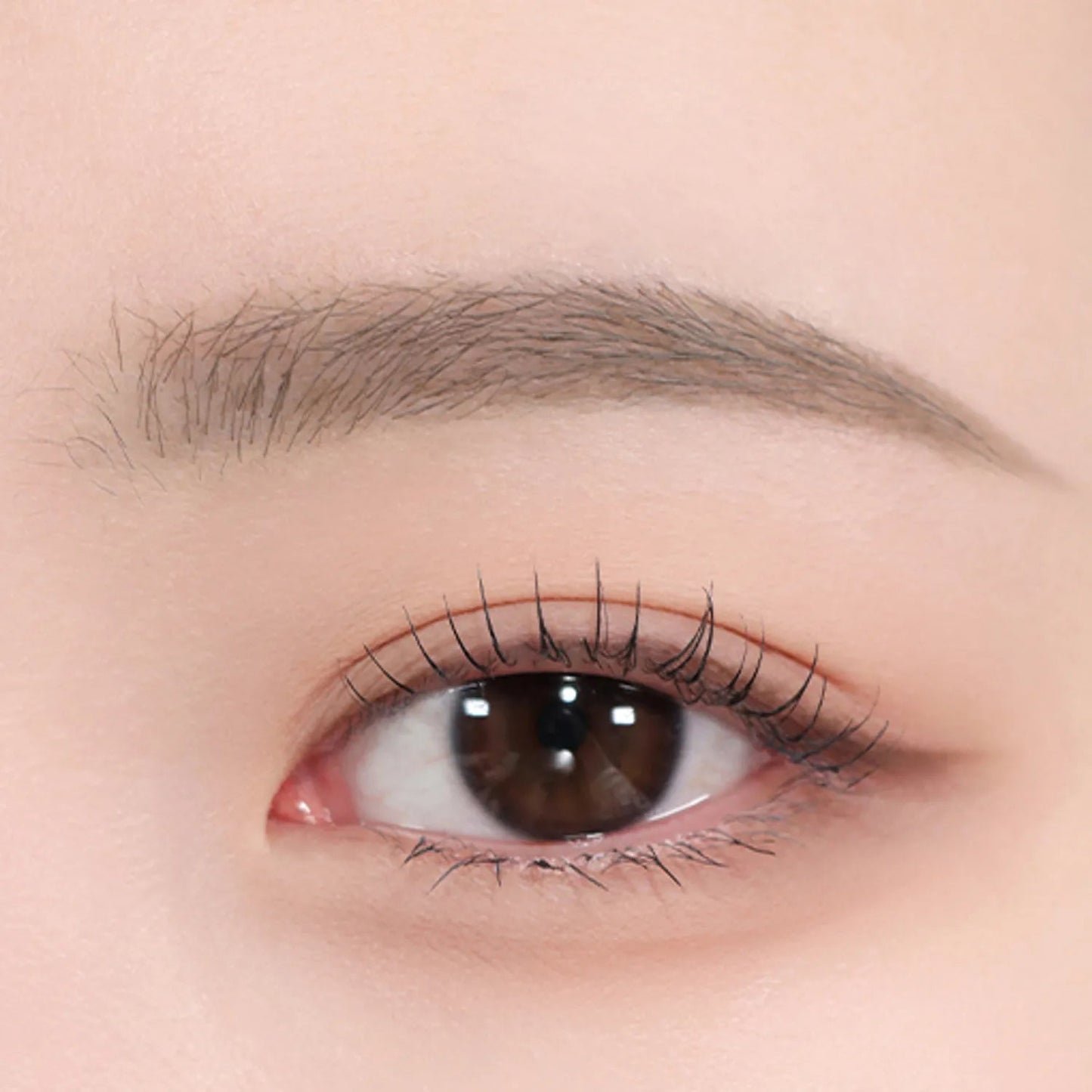 espoir The Brow Color Fixing Cara 3g - LUUELA