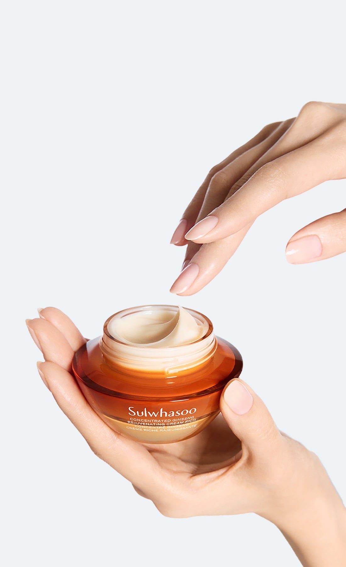 Sulwhasoo Concentrated Ginseng Renewing Cream Rich 30ml - LUUELA