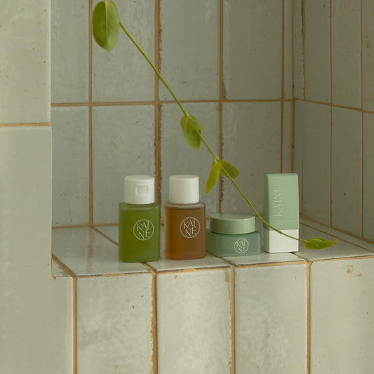 KAINE Travel Kit - LUUELA