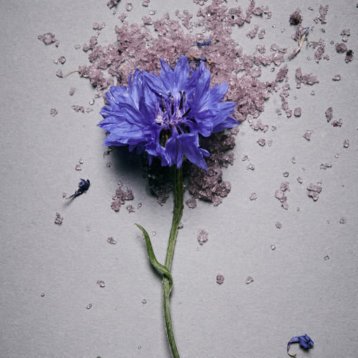 AROMATICA Serene Bath Salts Lavender & Marjoram 50g - LUUELA