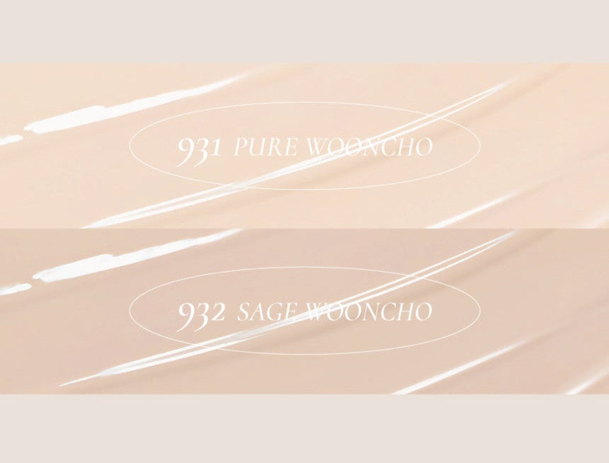 Dinto Wooncho Blur-Glowy Foundation 25ml - LUUELA