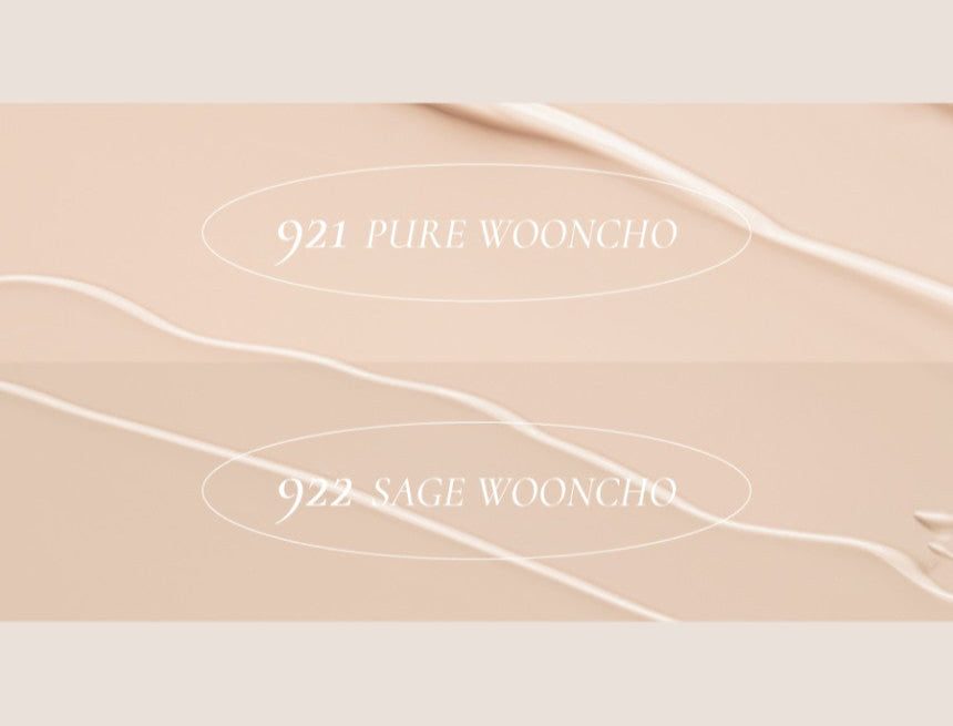 Dinto Wooncho Blur-Matte Foundation 25ml - LUUELA
