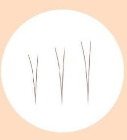 Fillimilli Point Piece Lashes (4,5,6MM) (90pcs) #Natural Under - LUUELA