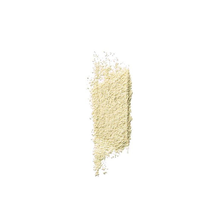 YUNJAC Whole Plant Effect Daily Foam & Exfoliant 2g X 16ea - LUUELA