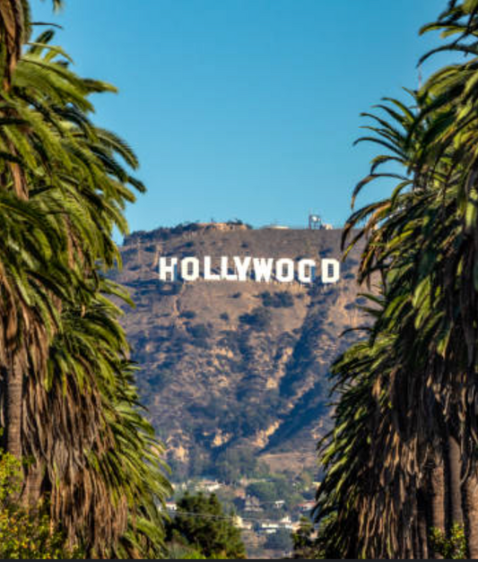 The Hollywood Influencer’s Beauty Box - LUUELA