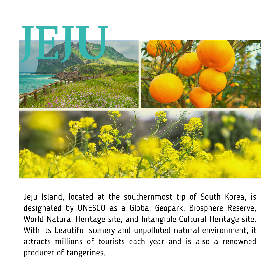 BeaumAnt Jeju Green Tangerine Cleansing Water 500ml - LUUELA