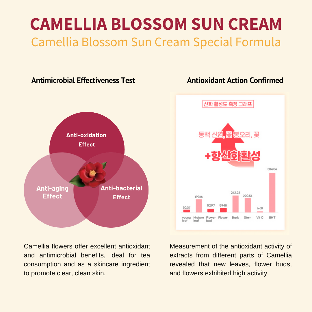 [JEJU INDI] Blossom Sun Cream 50ml - LUUELA