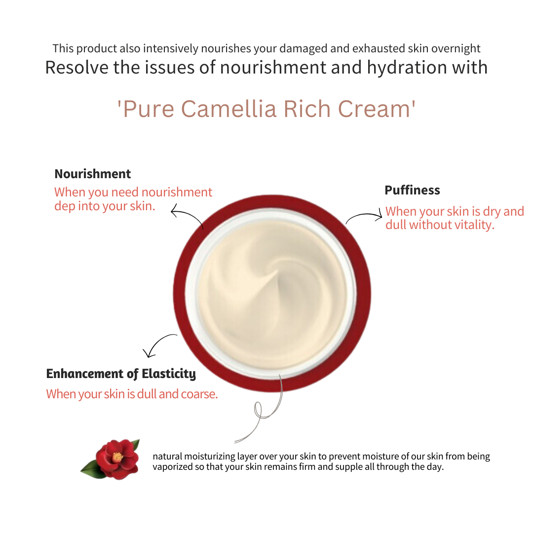 [JEJU INDI] Camellia Vital Rich Cream 50ml - LUUELA