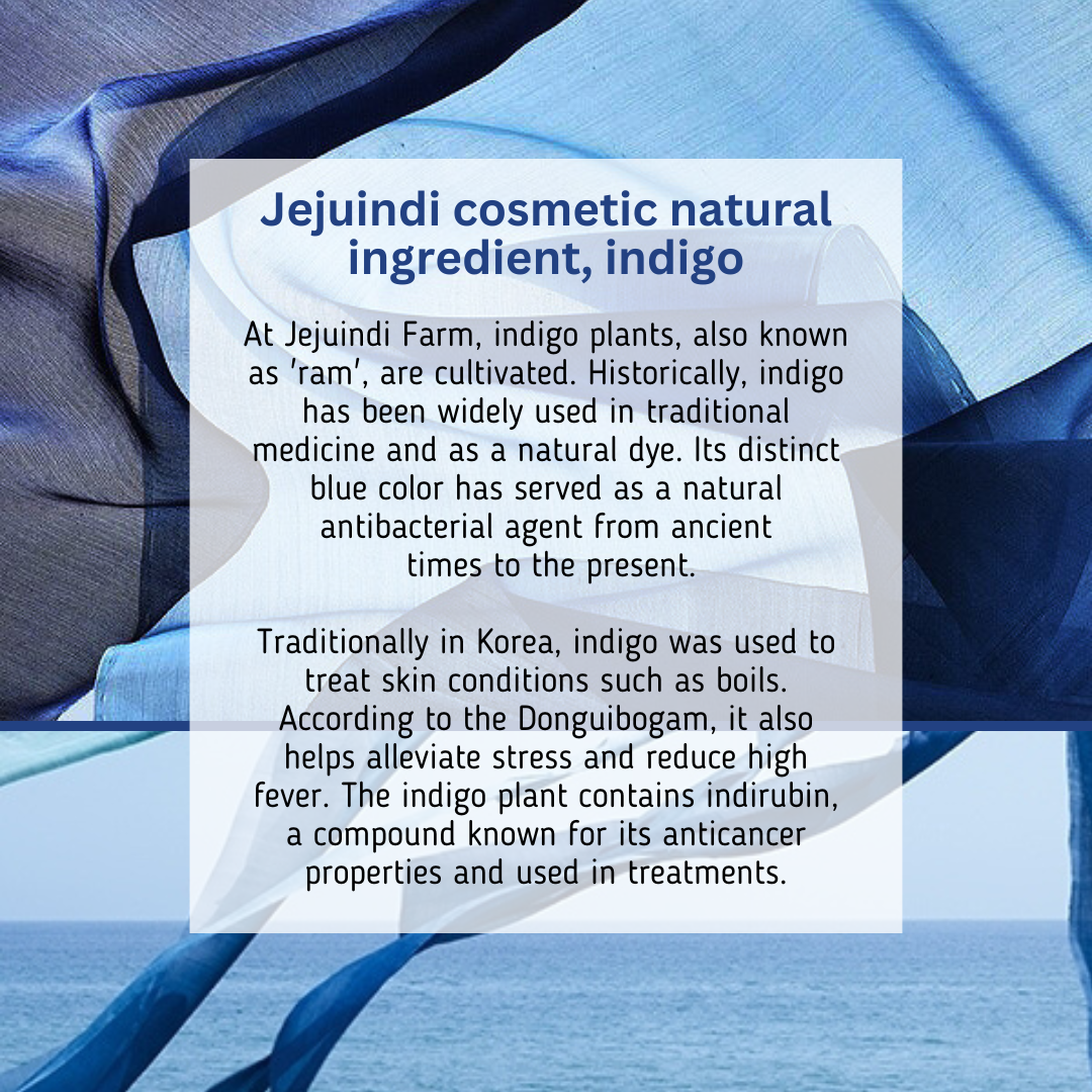 [JEJU INDI] Indigo Moist Gel Cream 80g - LUUELA