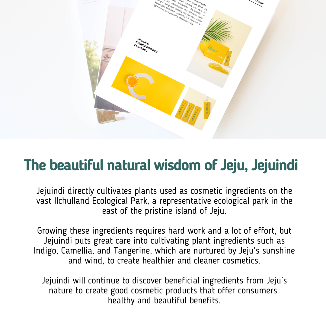 [JEJU INDI] Vitamin C Bubble Powder Cleanser 30ea - LUUELA