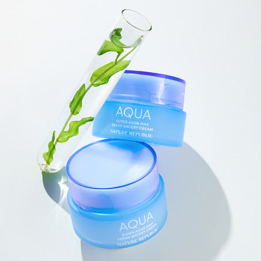NATURE REPUBLIC Super Aqua Max Fresh Watery Cream 80ml - LUUELA