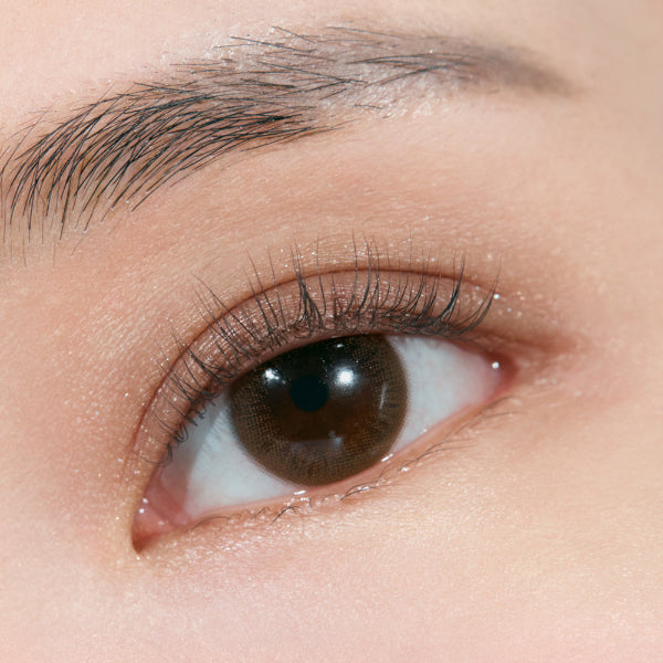 CLIO Shade & Shadow Palette - LUUELA