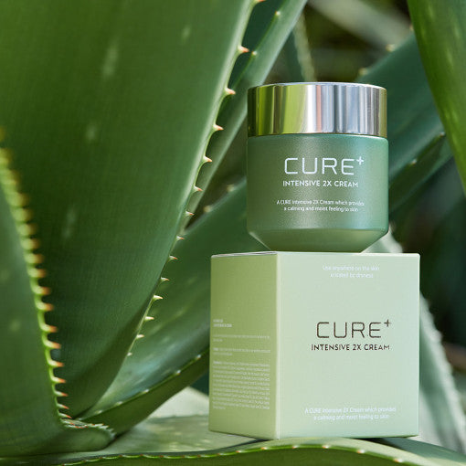 [KIM JEONG MOON Aloe] Cure Plus Intensive 2X Cream 50g - LUUELA
