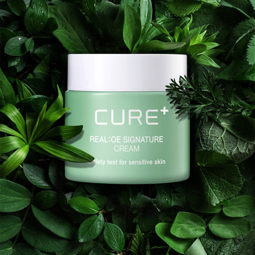 [KIM JEONG MOON Aloe] Cure Realoe Signature Cream 55g - LUUELA