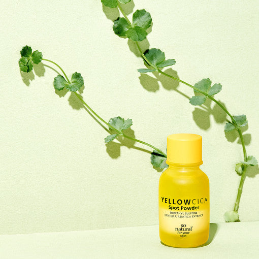 [so natural] YELLOW CICA SPOT POWDER 17ml - LUUELA