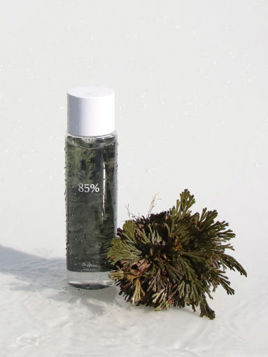 [Dr.Althea] Anastatica Skin Conditioning Toner 250ml - LUUELA
